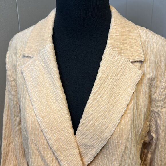 Daniel Rainn (Anthropologie) crinkle velour/corduroy double breasted jacket. Med - Picture 5 of 10